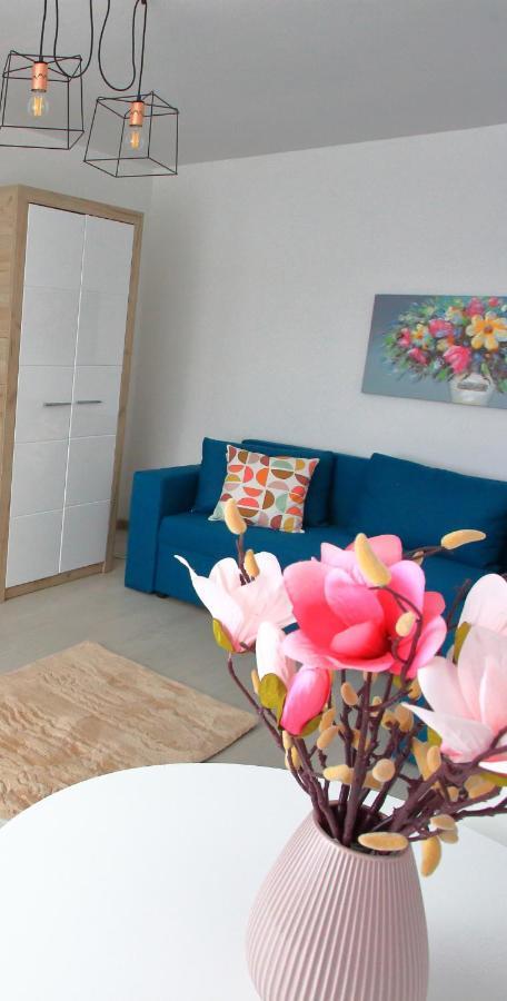 Apartament Delora View Bumbesti-Jiu Exteriér fotografie
